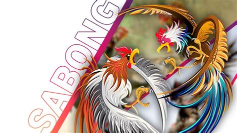 cc9 casino login|C9Taya Casino .